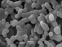 Высокая керамика 1-2um алюминиевой окиси белизны 99,7% кальцинировала Aluminas